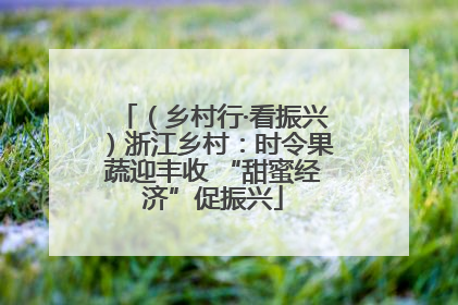 （乡村行·看振兴）浙江乡村：时令果蔬迎丰收 “甜蜜经济”促振兴